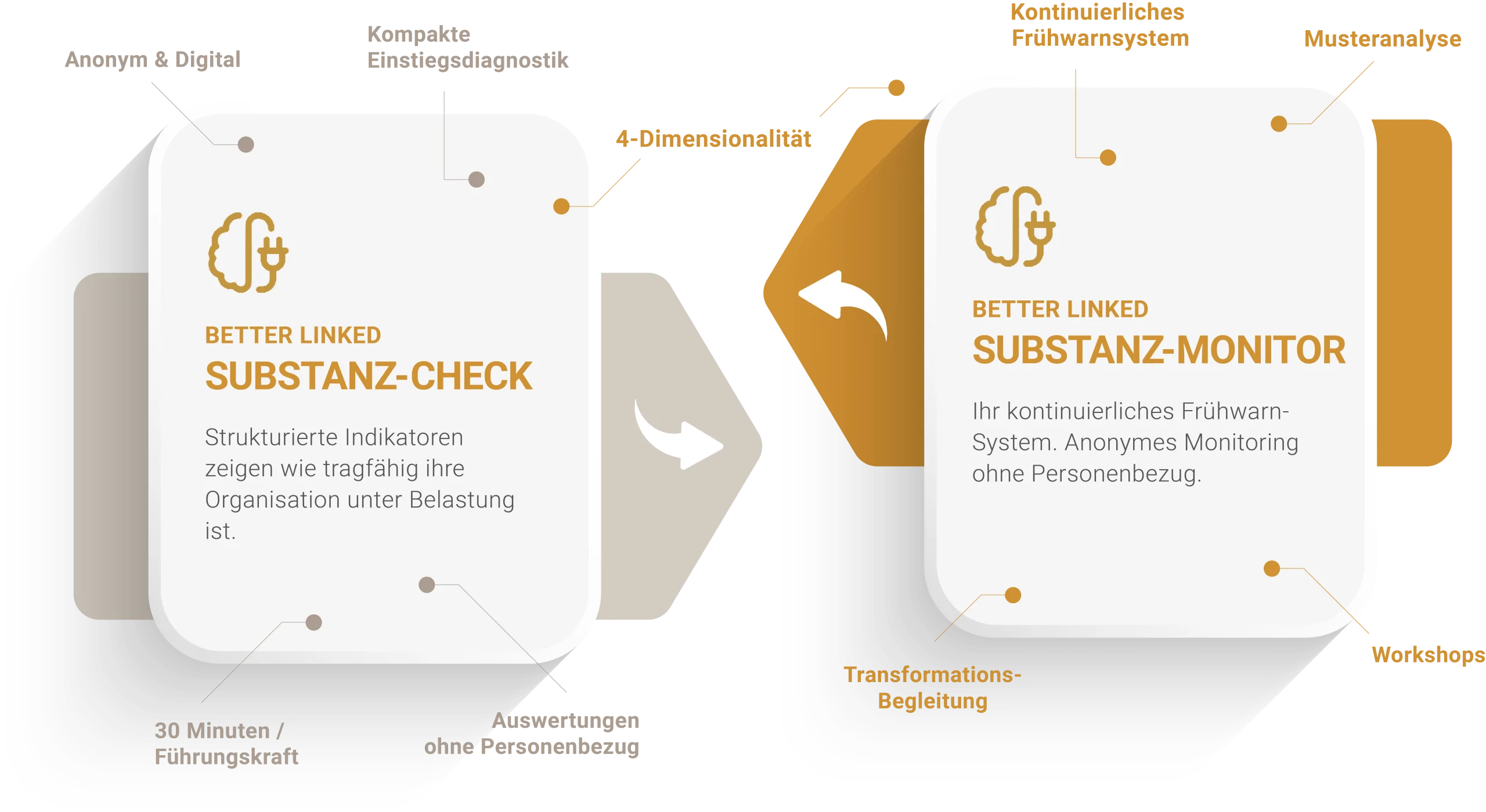 Better Linked - Infografik - Unsere Leistungen
