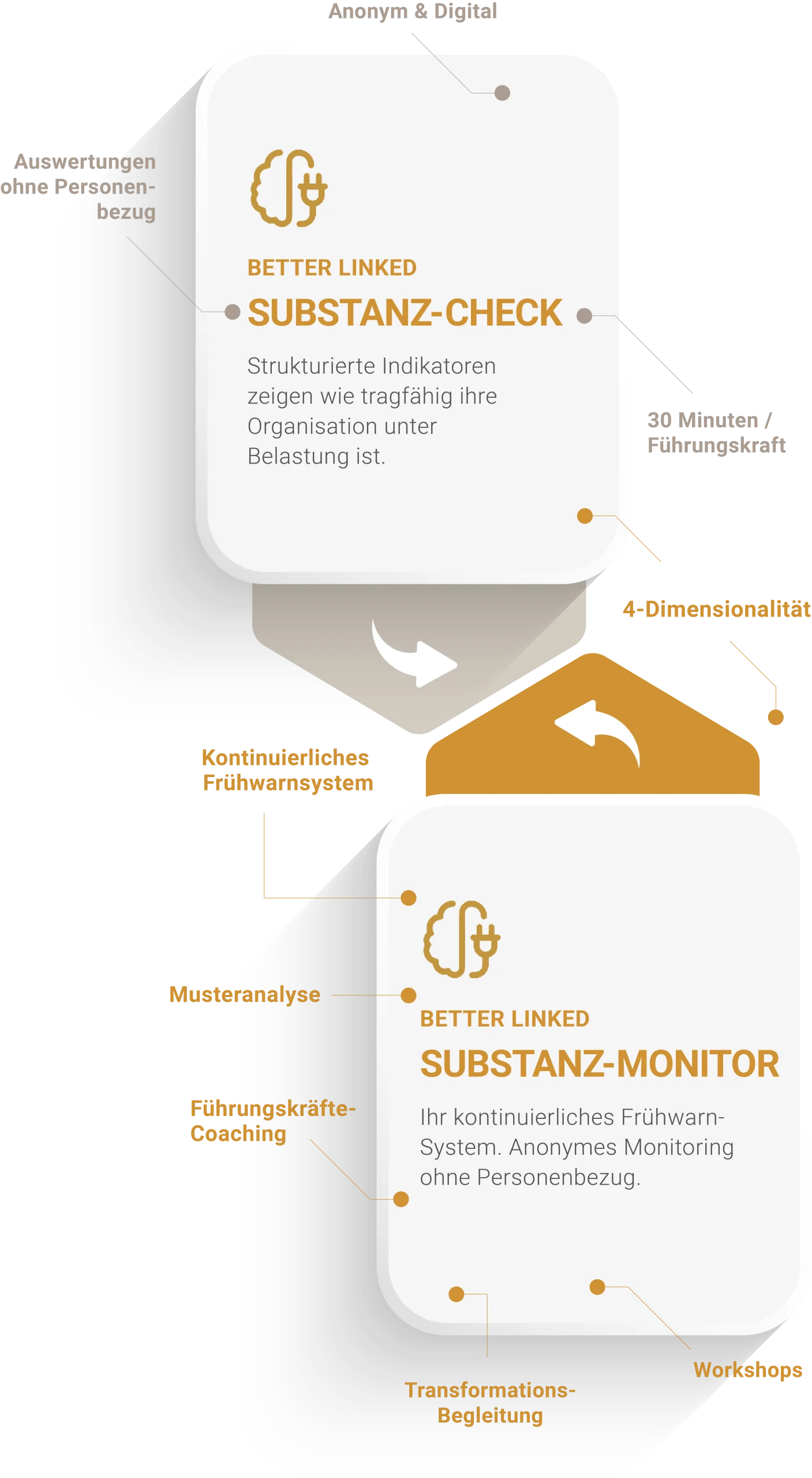Better Linked - Infografik - Unsere Leistungen - Mobile